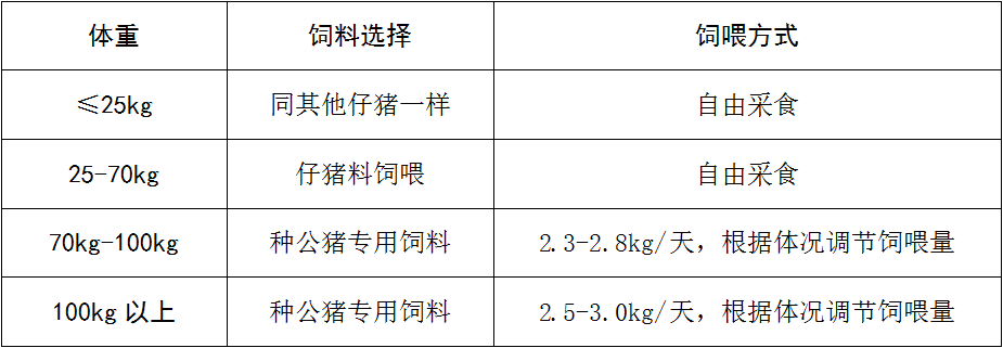 ±GG漣Ϸƽ̨