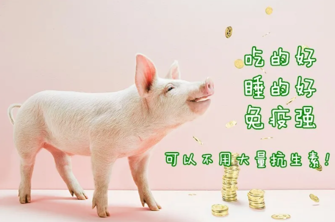 ±GG漣Ϸƽ̨