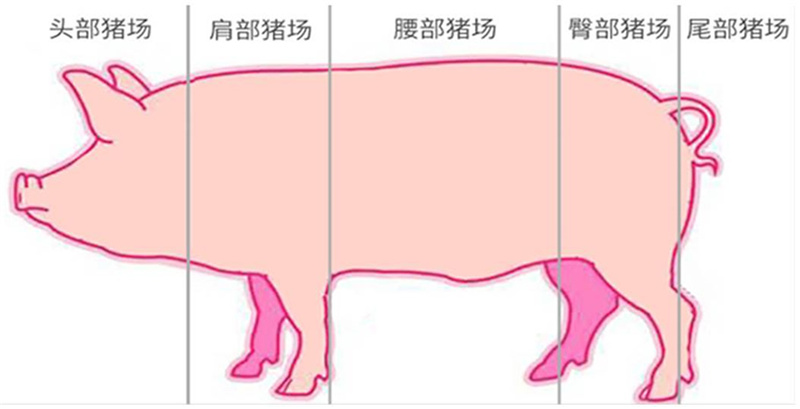 ±GG漣Ϸƽ̨